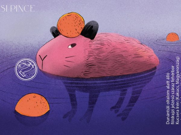 A Yaffa Zöldveltelini teljes címkéje: vízben úszó rózsaszín kapibara narancsokkal.